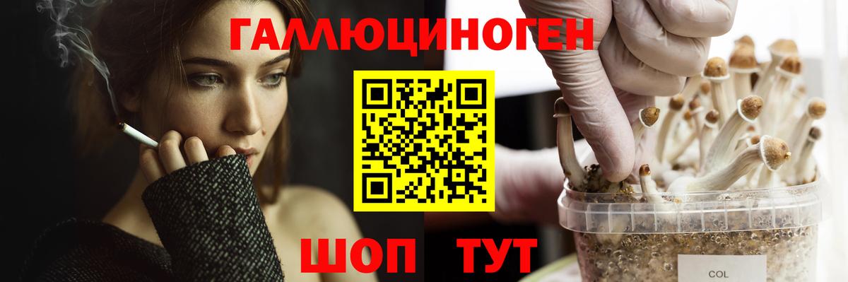 Усинск  Псилоцибиновые грибы мицелий  Вход с VPN 